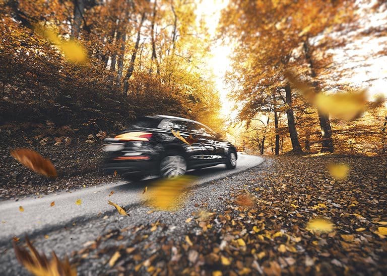 Autumn Drive A car with auto insurance from Gill Insurance in Rock Hill, SC