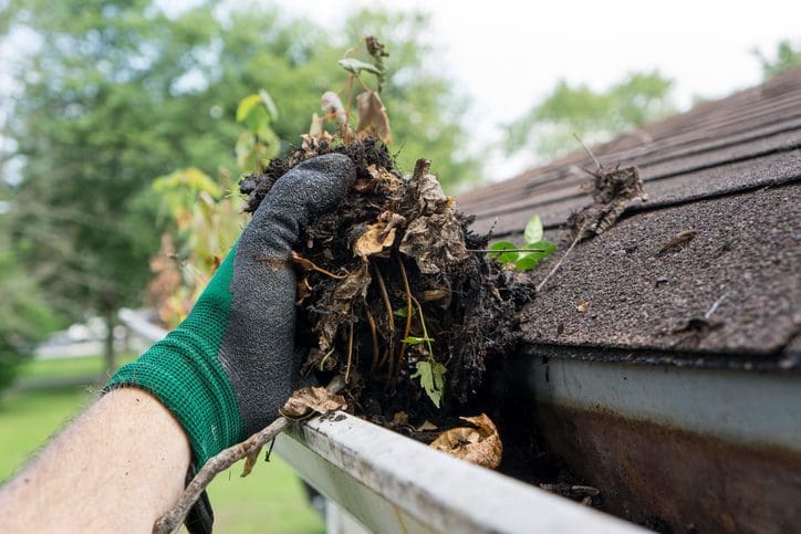 Gill Insurance | Cleaning Gutters During The Summer